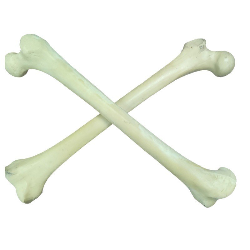 聚氨酯仿骨 聚氨酯仿骨