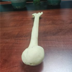 聚氨酯仿真脛骨